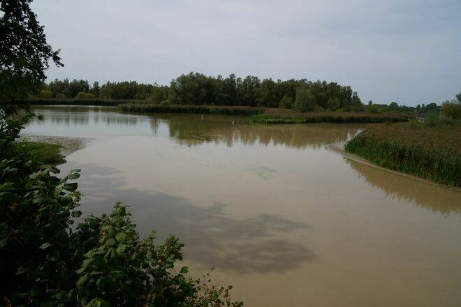 Aulandschaft am Inn