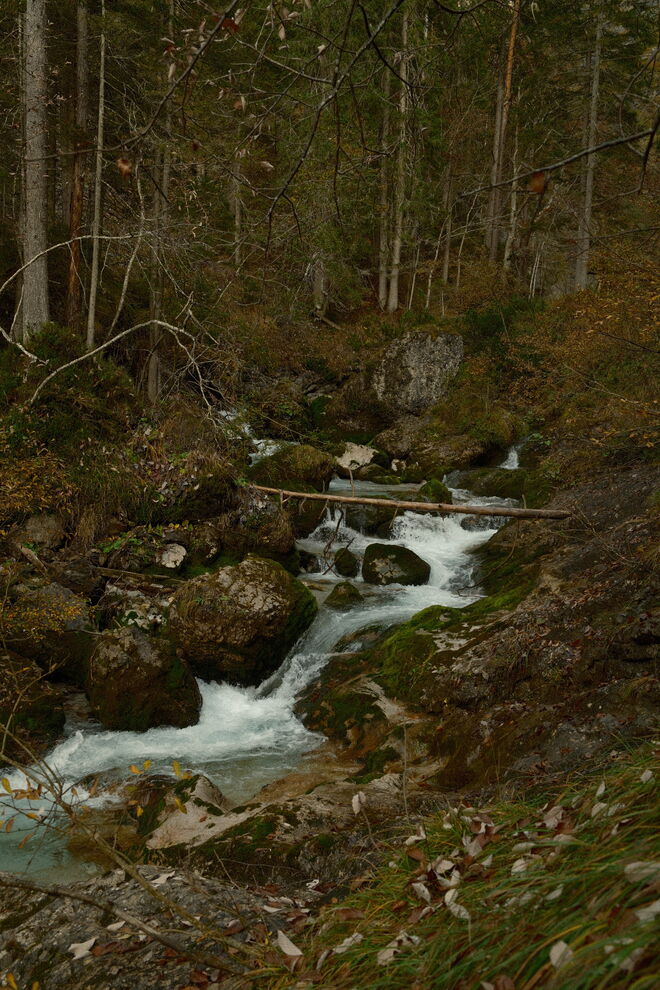 Die grüne Grotte des Stoissengrabens
