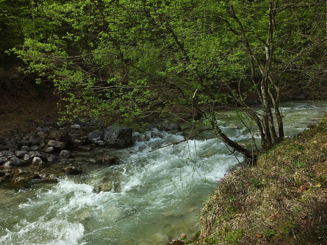 Schmelzwasser