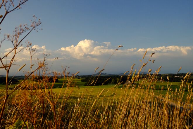 Goldener Abend