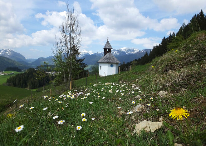 Idylle in Abtenau