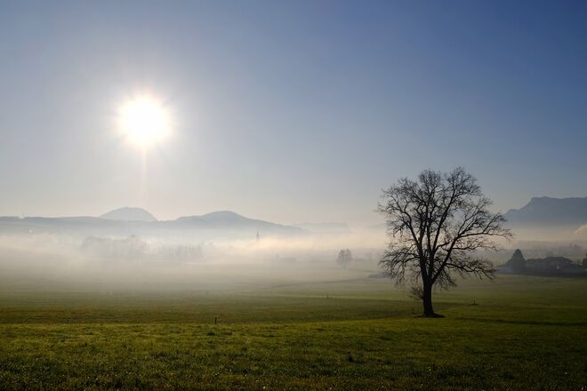 Nebelzeit