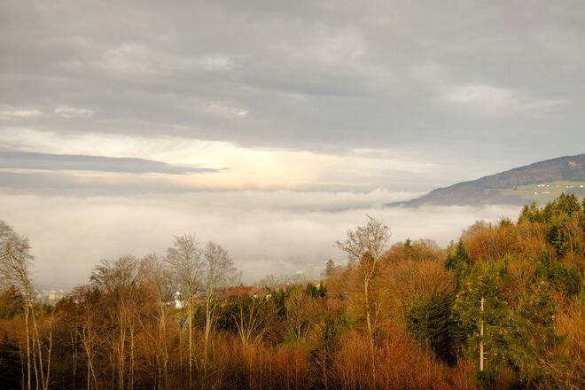 Nebel im Tal