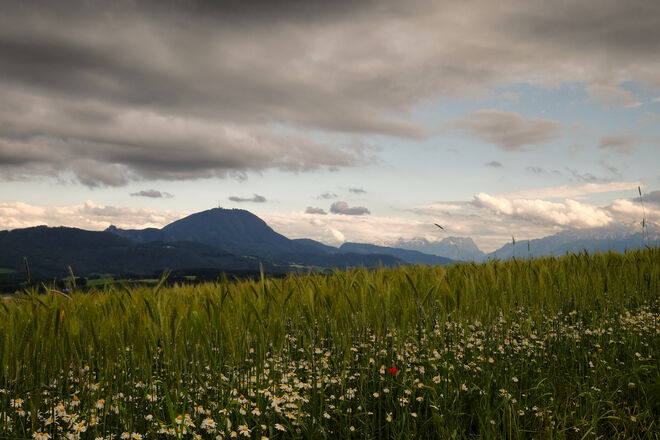 Frühsommerland