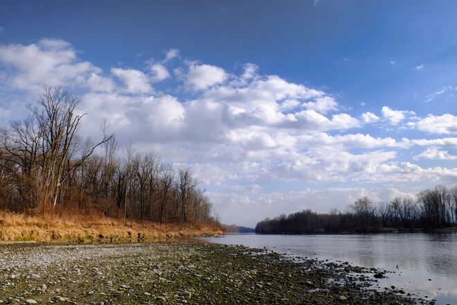 Die aufgeweitete Salzach
