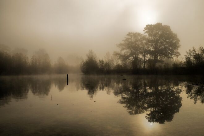 Im Nebel ruhet noch die Welt...