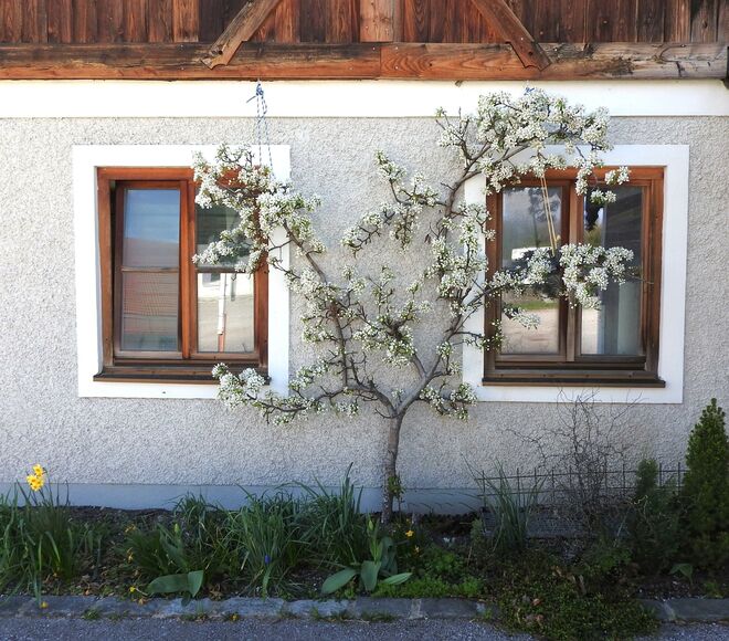 Friedlich