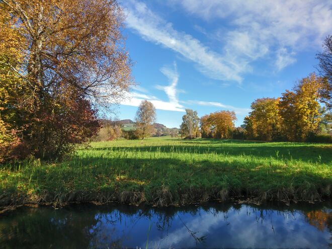 Ein schöner Herbsttag im Obertrumer Naturschutzgebiet