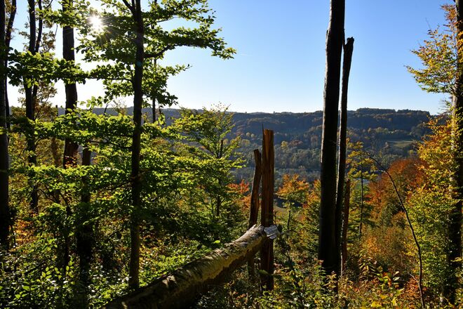 Der Herbst hielt Einzug