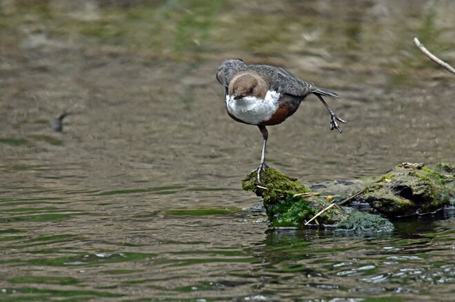 Übung gegen eingeschlafene Füße