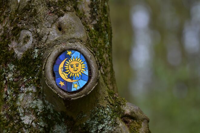 Kunst am Baum (Teil 2)