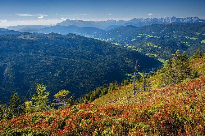 Herbstblick