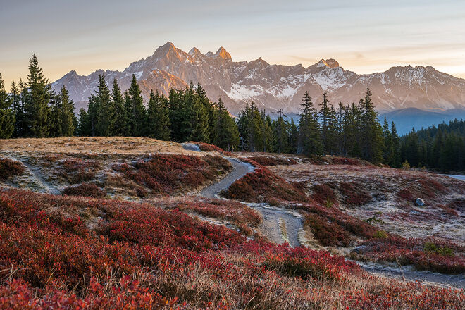 Sonnenaufgang am Rossbrand mit Blick auf den Dachstein