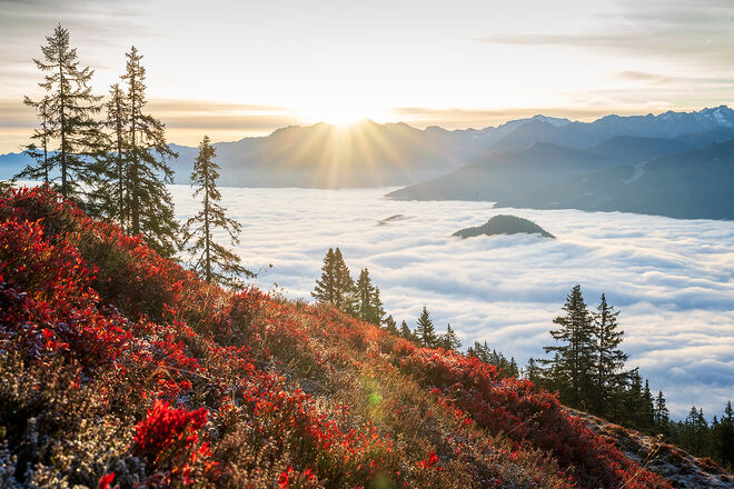 Herbst am Rossbrand