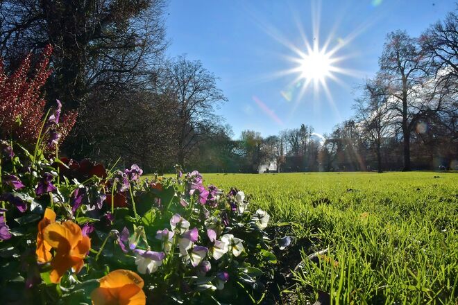 Ein sonniger Tag ...