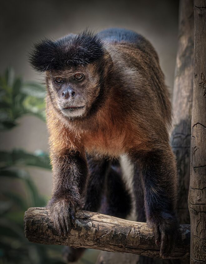 Besuch im Zoo