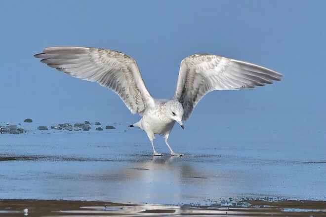 Trägt mich das Eis?