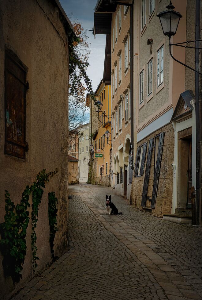 Steingasse