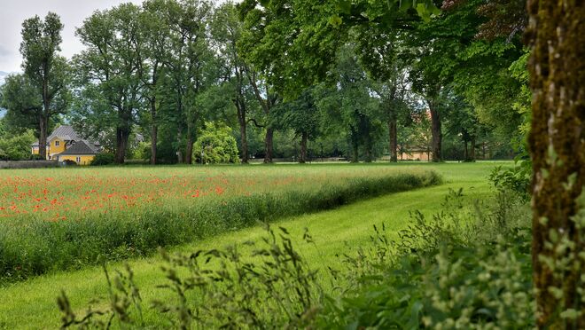An der Hellbrunner Allee
