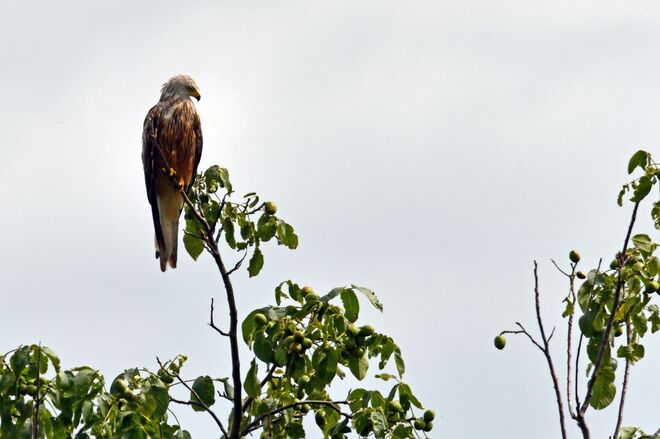 Alles im Blick