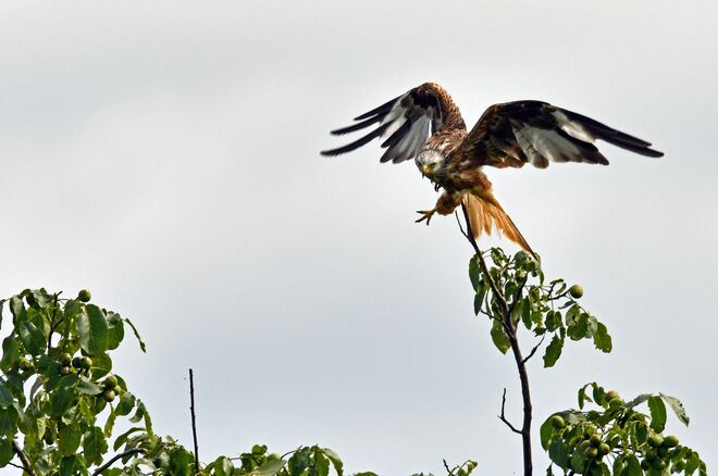 Abflug