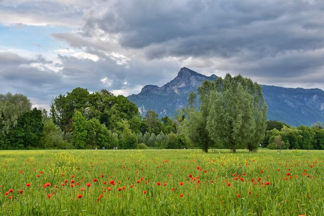 Blick von Freisaal ...