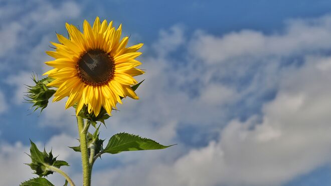 Sonnig bis wolkig