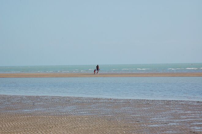auf einer Sandbank