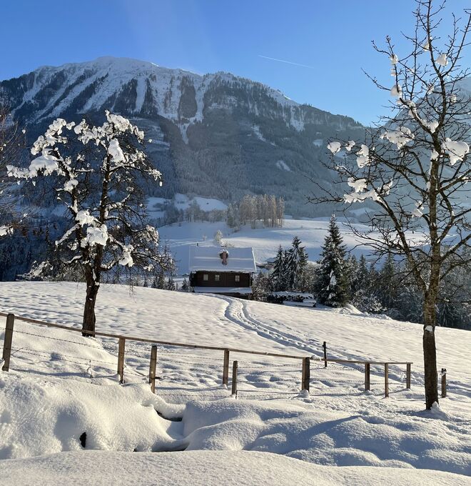 Winterlandschaft Salzburger Sonnenterrasse