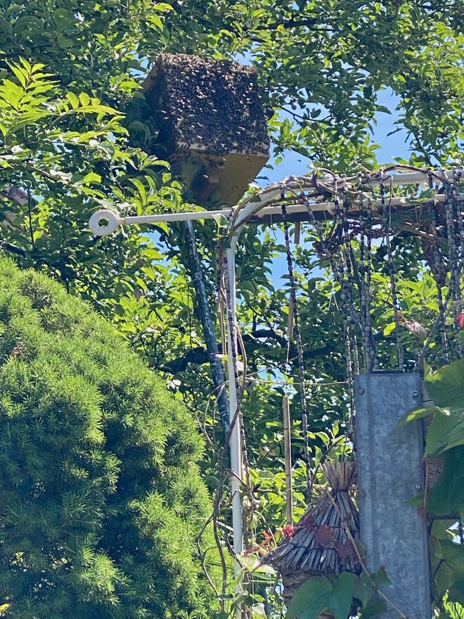 Besuch am Weltbienentag
