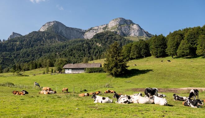 Eisenaualm