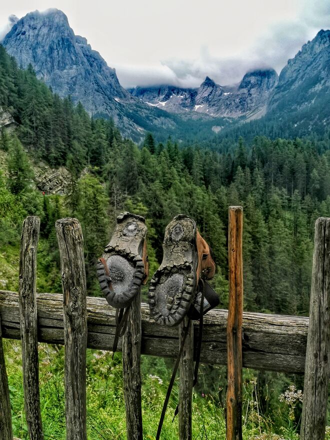 Ende der Saison