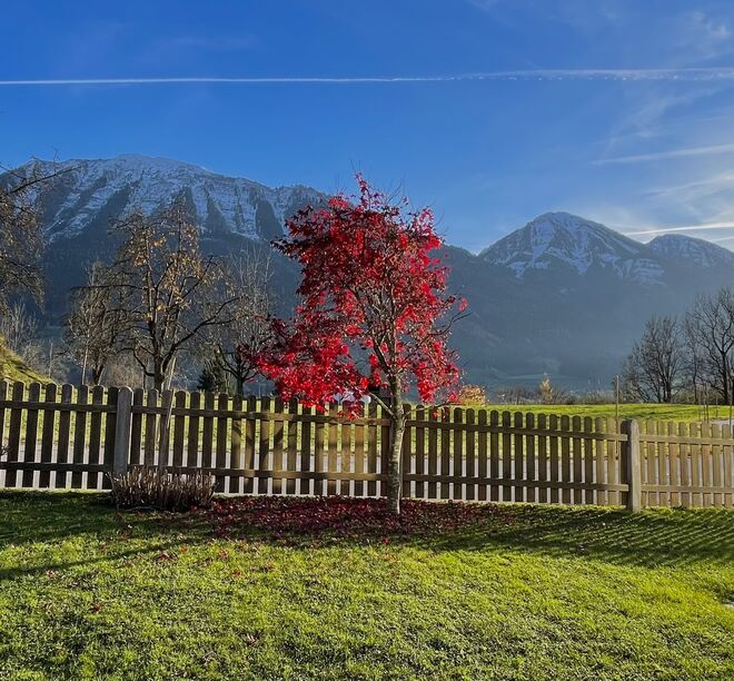 Spätherbst auf der Salzburger Sonnenterrasse