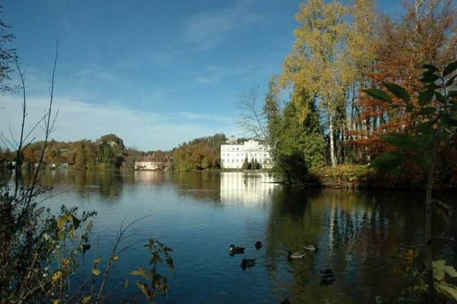 Seeidyll um den Weiher