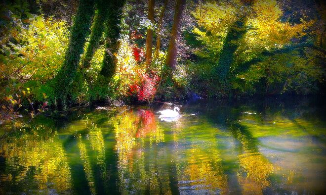 " HERBSTFARBEN "