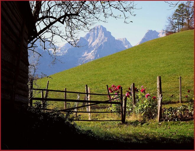 . . . zum Abschied der sonnigen Tage