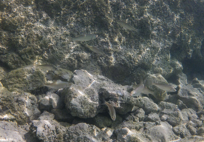 Glasklares Wasser