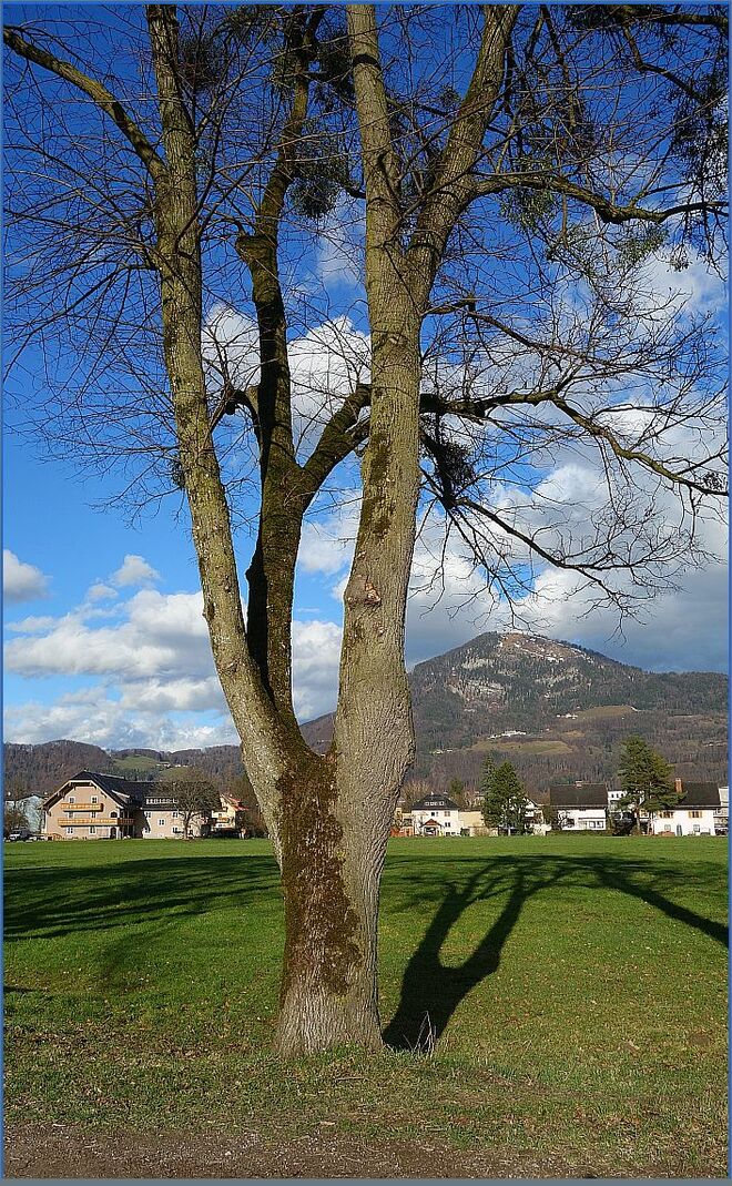 Frühlingshimmel