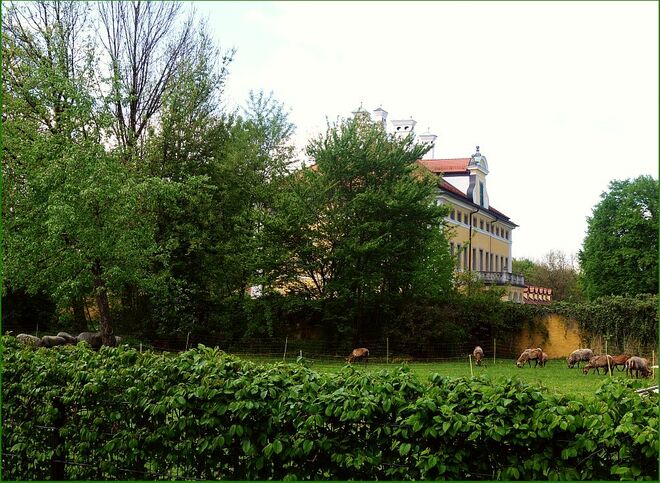Die Südseite der Frohnburg