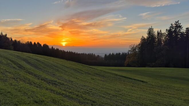 Der Sonnenuntergang ist der einzige Moment des Tages, der alle Farben des Lebens vereint.