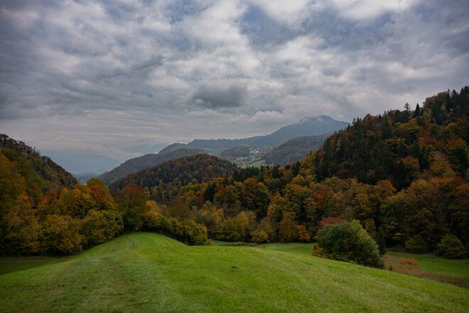 Herbst