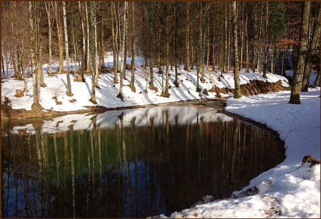 Gaisbergwasser