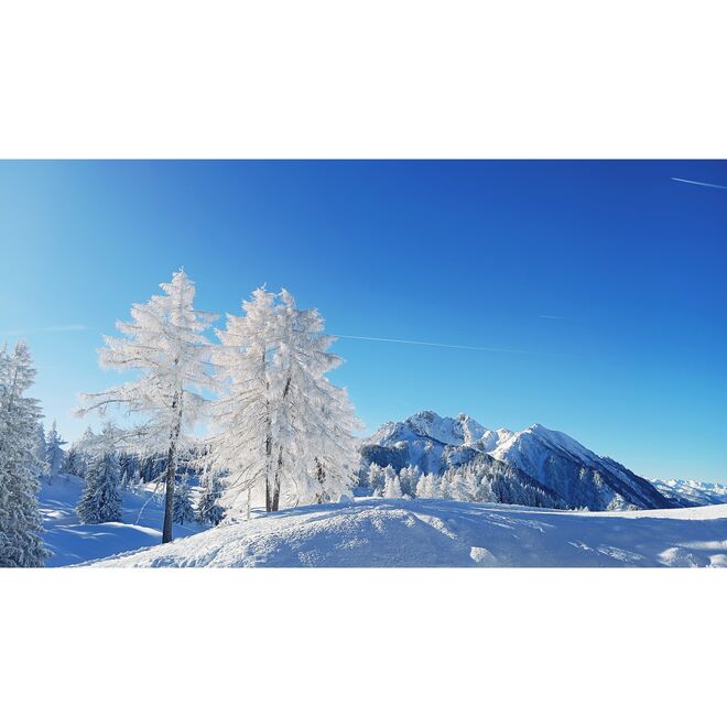 Neuschnee