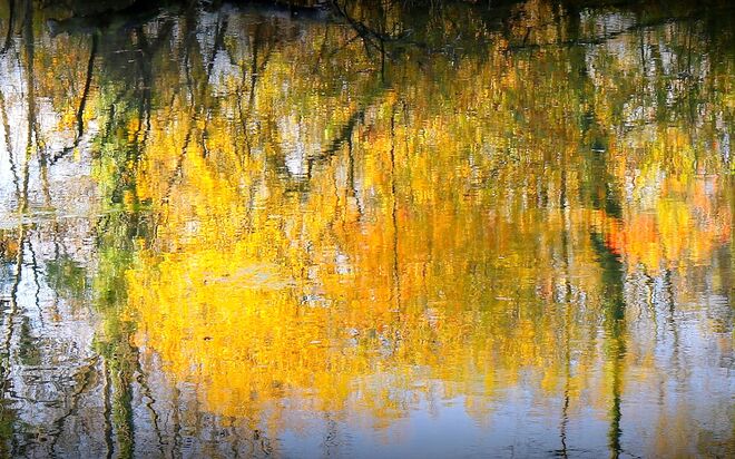 " HERBST- IM SPIEGEL DER ENKNACH "