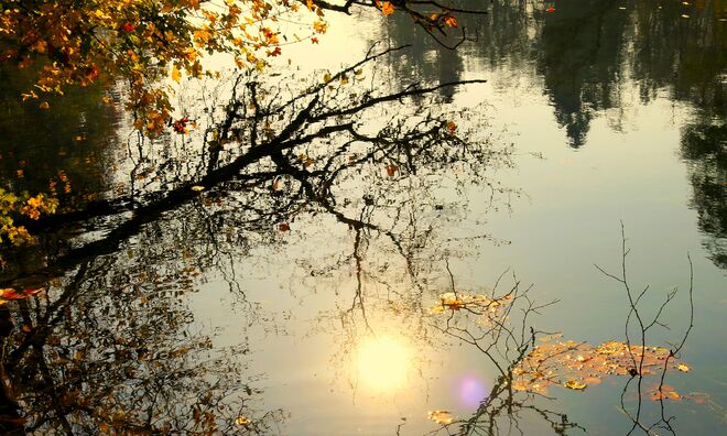 " HERBSTLICHER WEIHER "