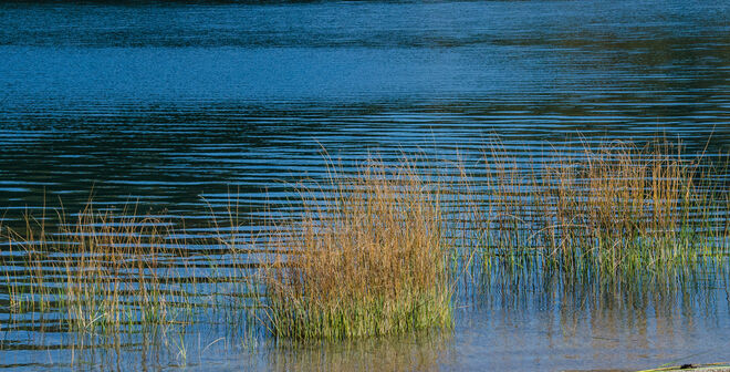 Es herbst´lt am See