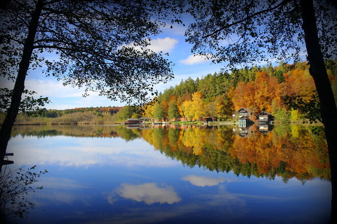 " FENSTER ZUM HERBST "