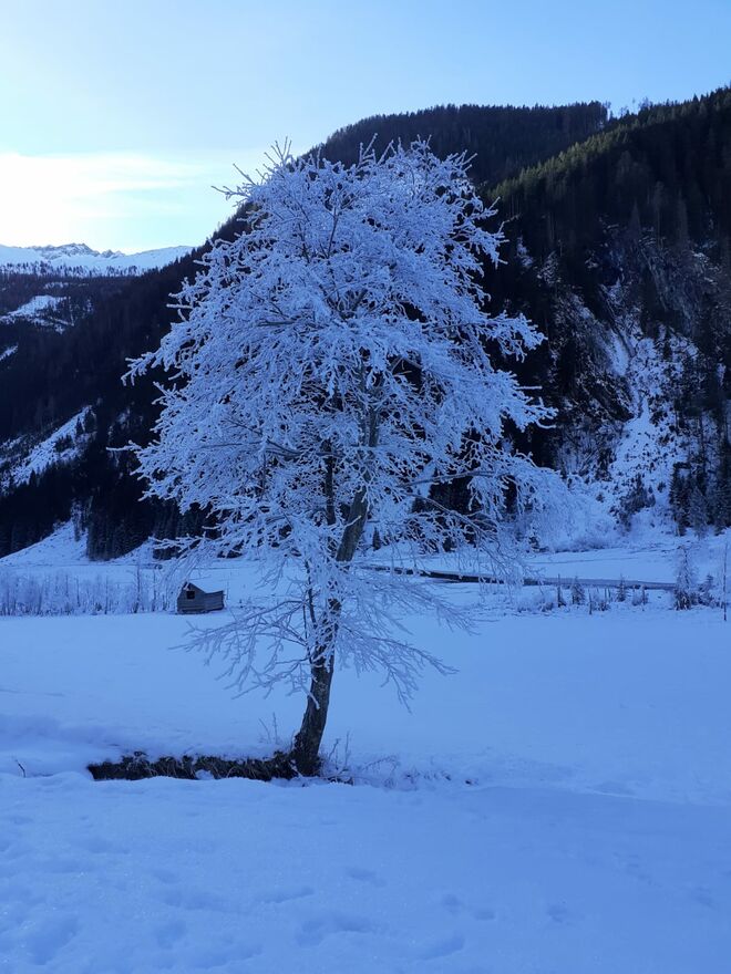 Hüttschlag See