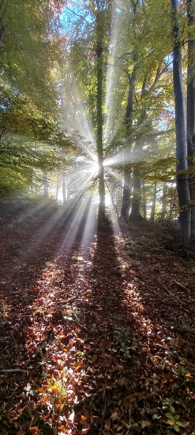 Allerheiligenstimmung