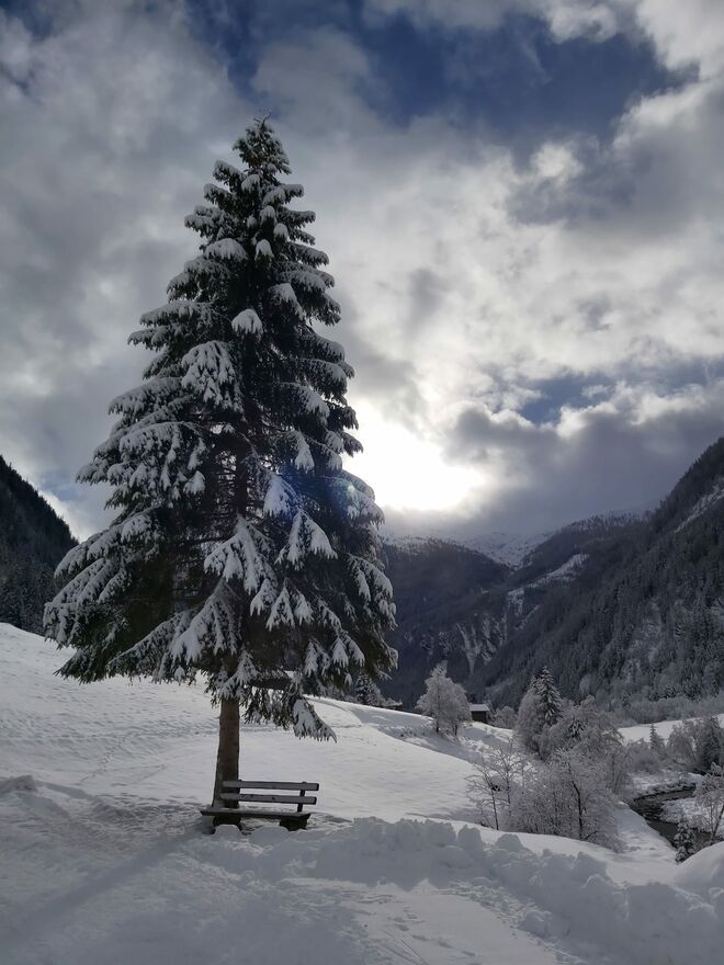 Stille